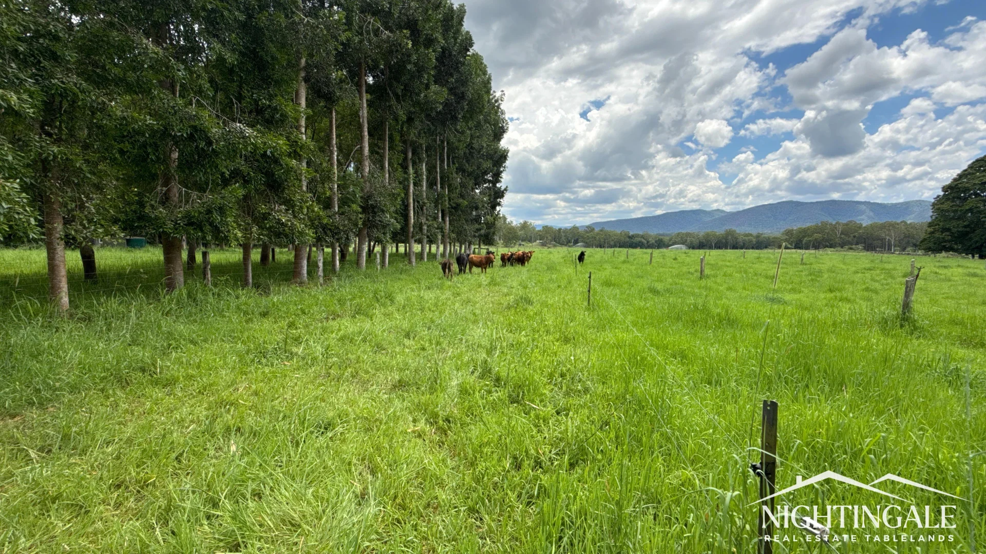 Additional image 3 of 8622 Kennedy Highway, Atherton QLD 4883
