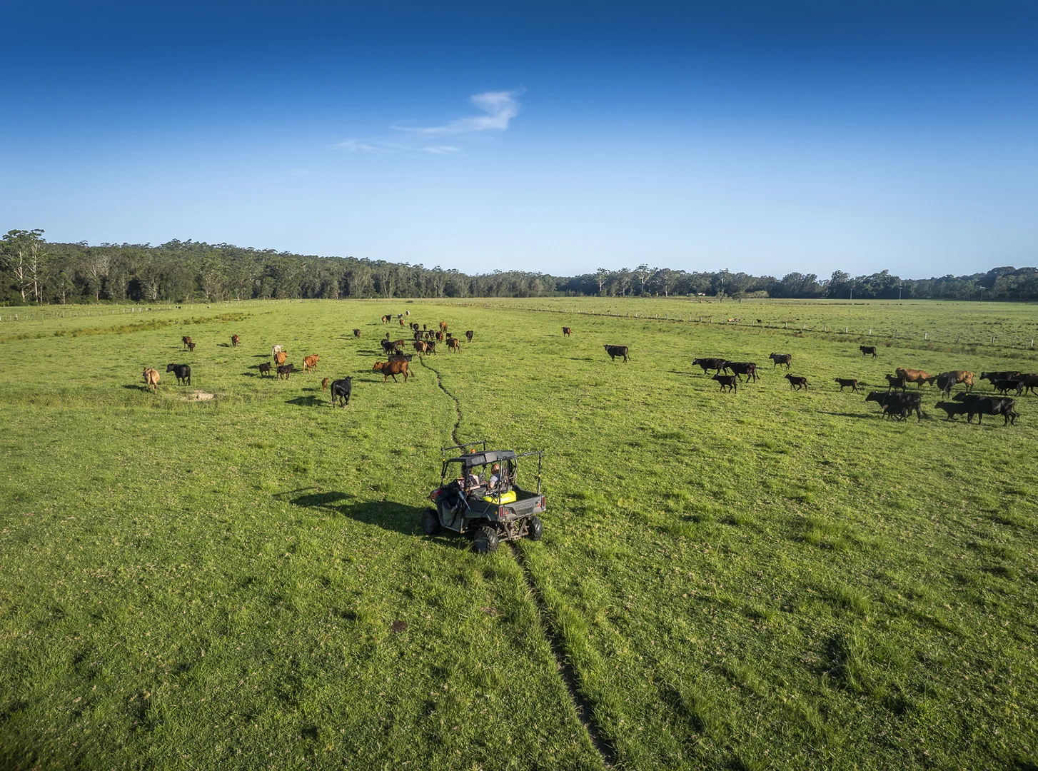 Additional image 3 of 33 River Street, Repton NSW 2454