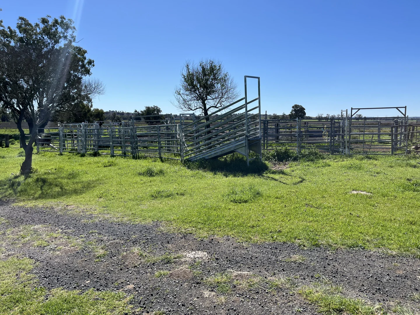 Additional image 5 of "Piambra" 714 Piambra Road, Binnaway NSW 2395