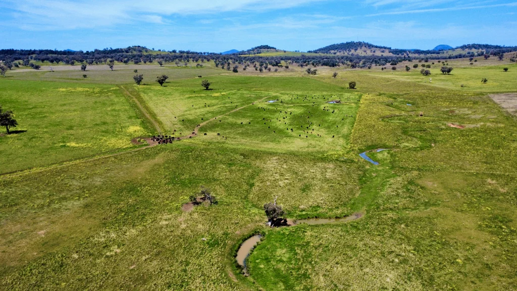 Additional image 2 of Gunnedah NSW 2380