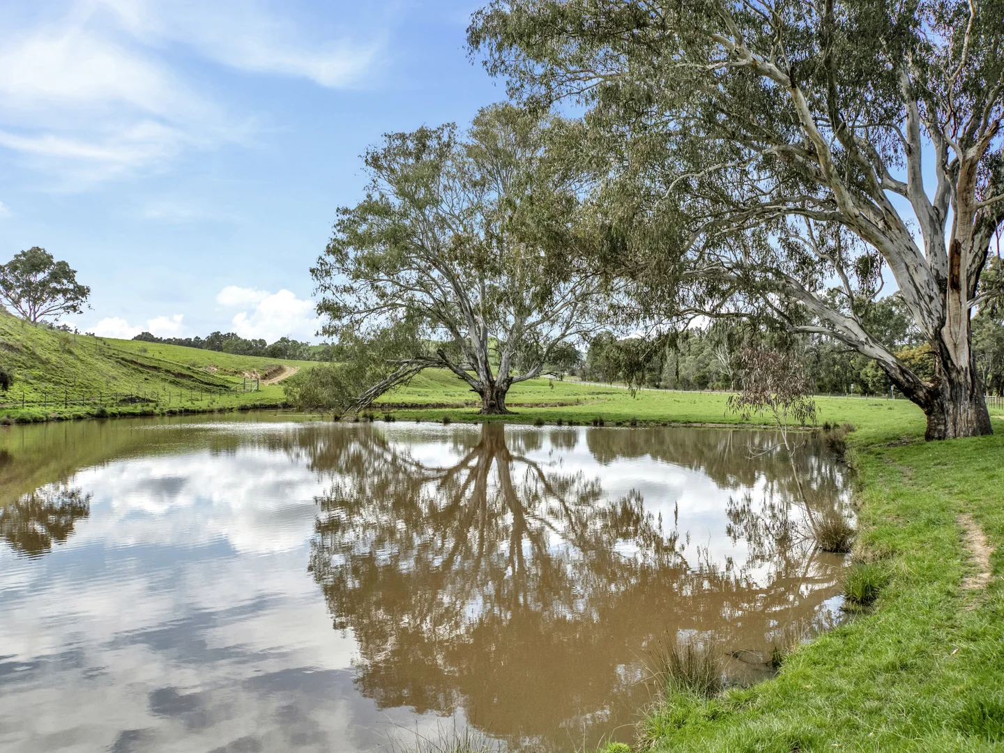 Additional image 15 of 146 Hobans Road, Alexandra VIC 3714