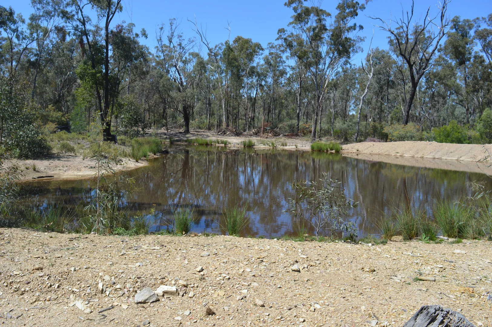 Additional image 16 of 3094 Mosquito Creek Road, Mosquito Creek QLD 4387