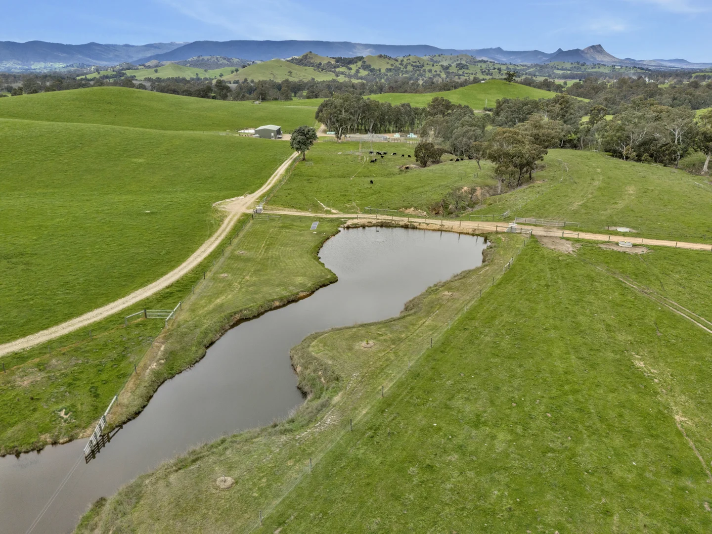 Additional image 17 of 146 Hobans Road, Alexandra VIC 3714