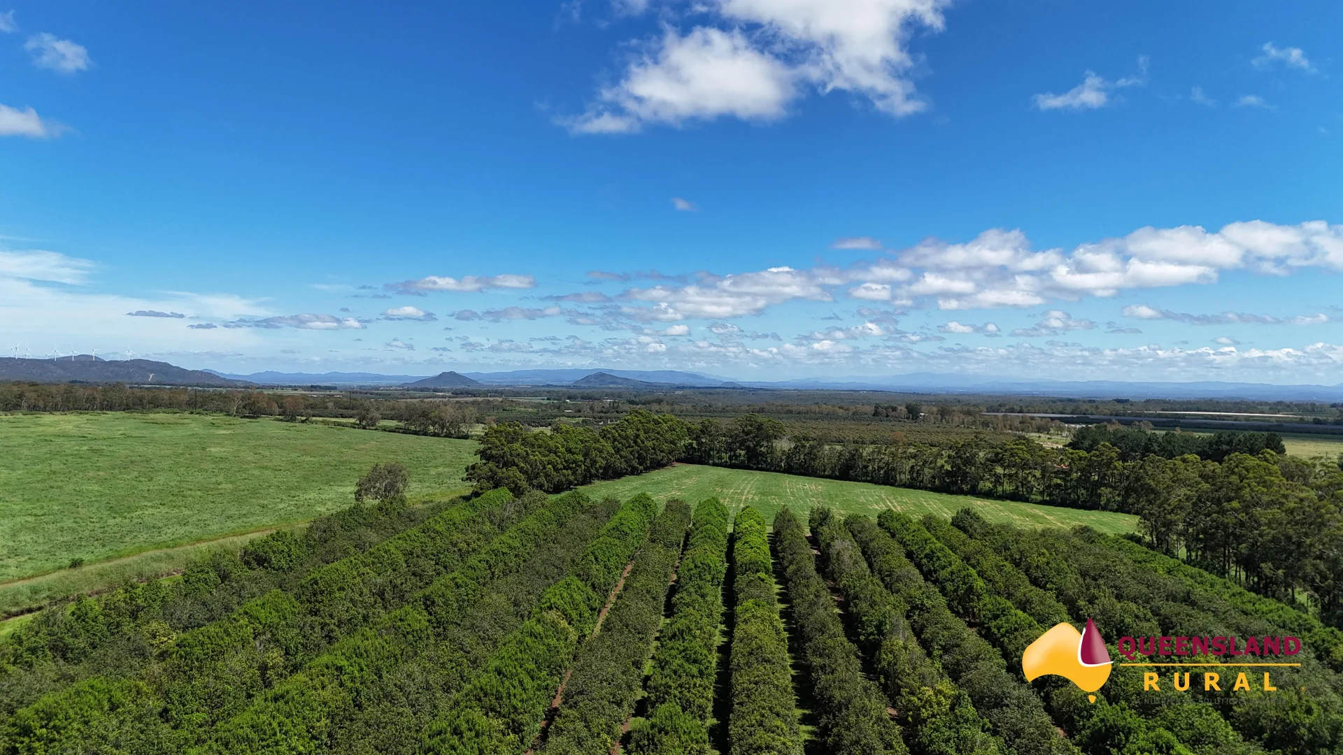 Additional image 7 of Banchio Road, Tolga QLD 4882