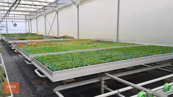 Additional image 11 of Peats Ridge NSW 2250