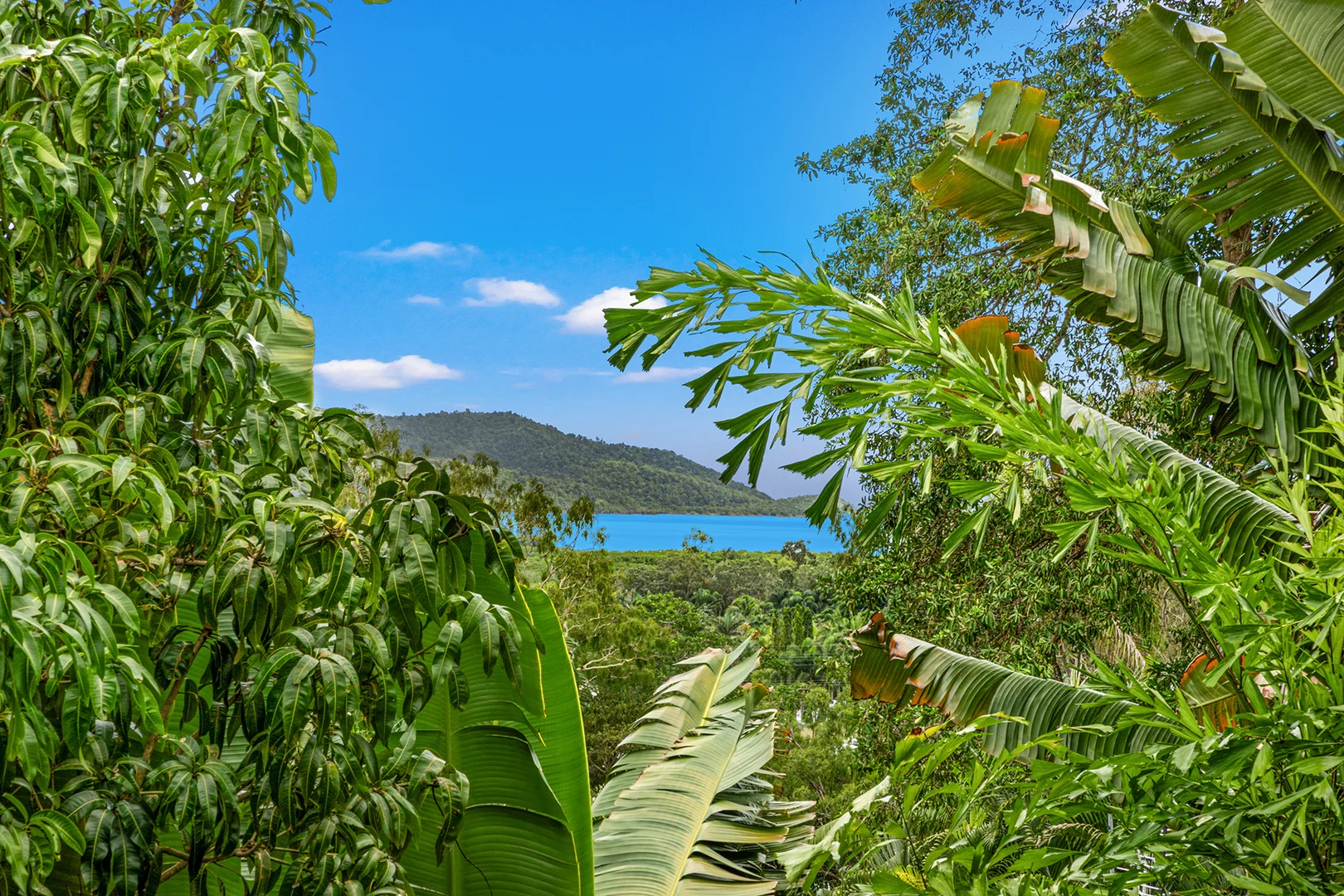 Additional image 4 of 2 South Molle Boulevard, Cannonvale QLD 4802