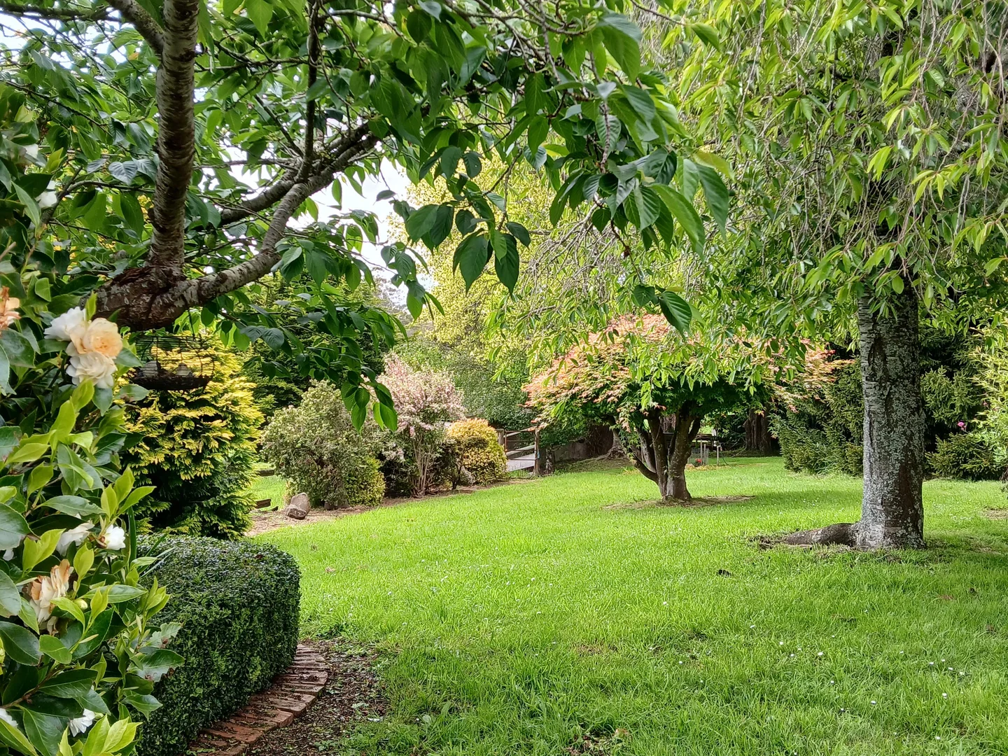 Additional image 13 of 74 Fosters Road, Wynyard TAS 7325