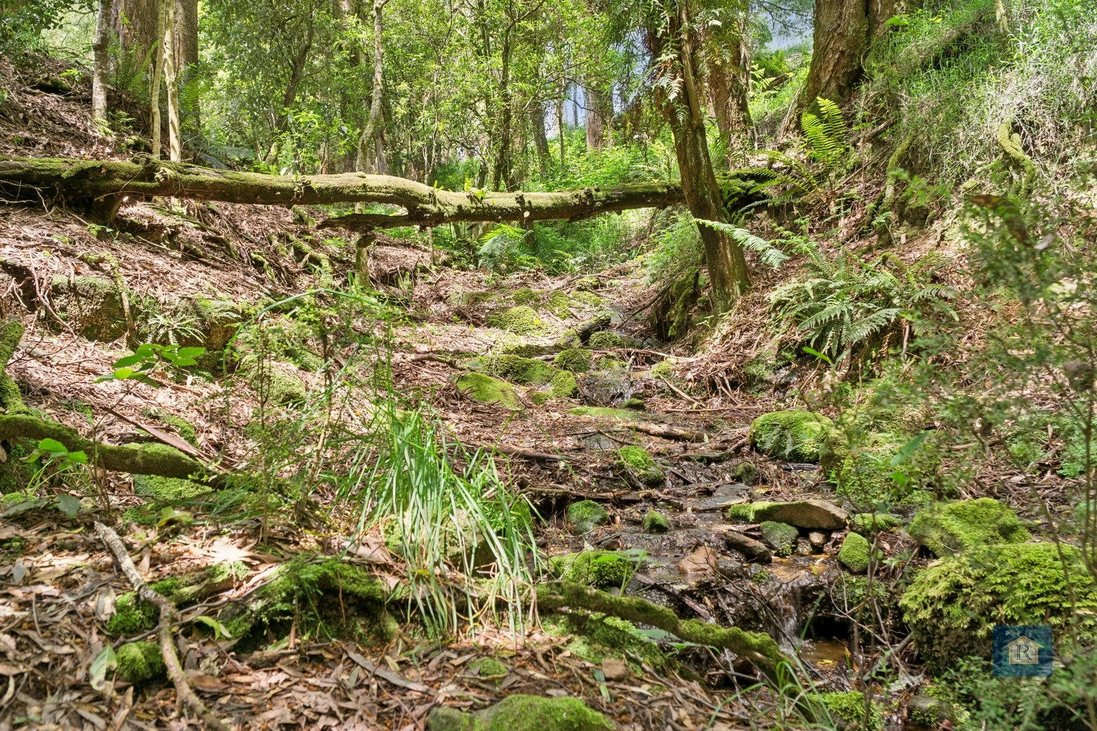Additional image 9 of 59 Southorn Street, Beech Forest VIC 3237