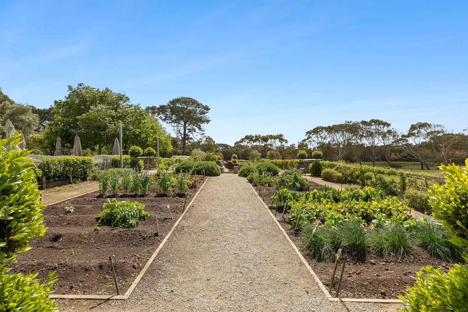 Additional image 20 of 43-53 Nye Road, Swan Bay VIC 3225