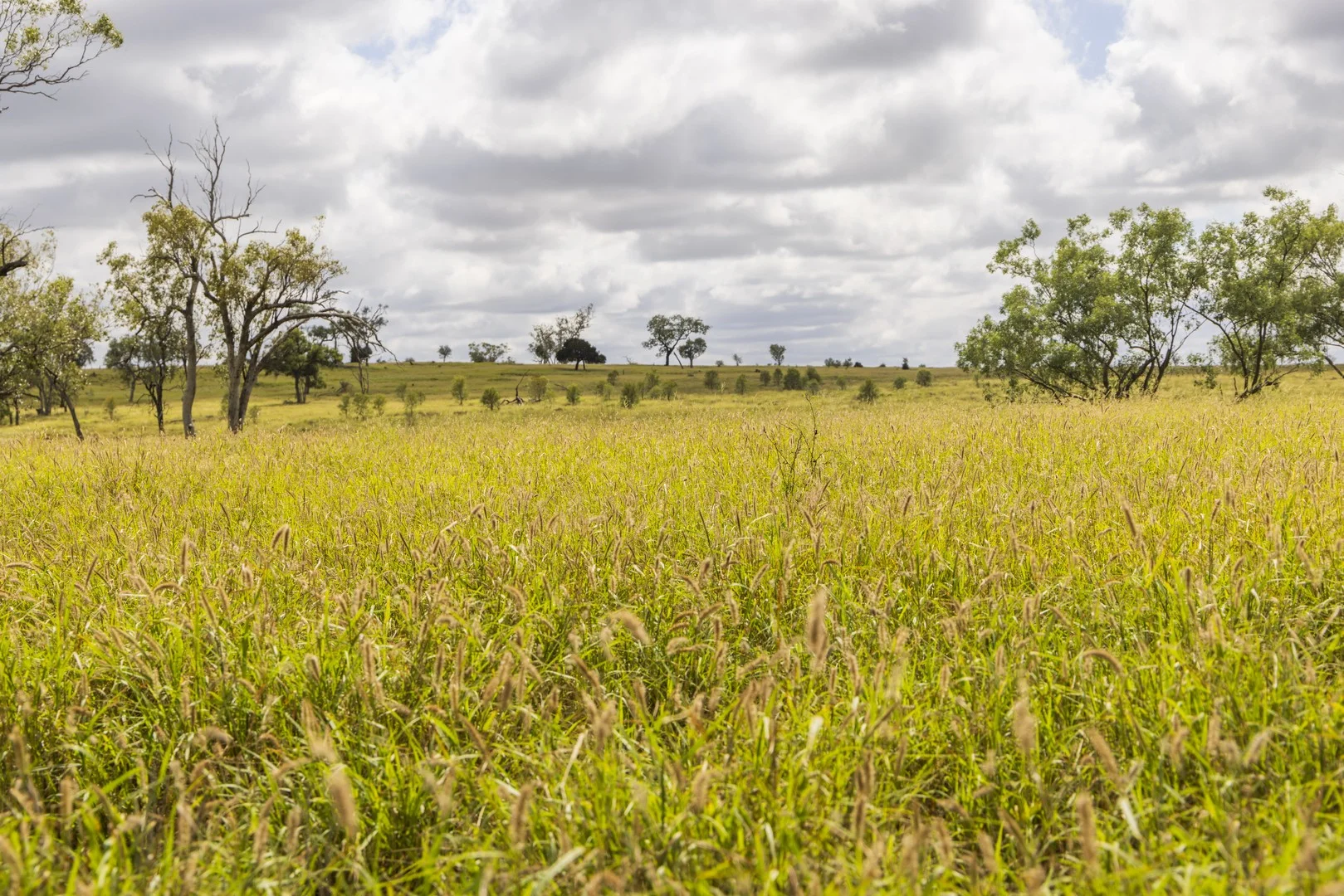 Additional image 11 of 205 Redbank Road, Roma QLD 4455