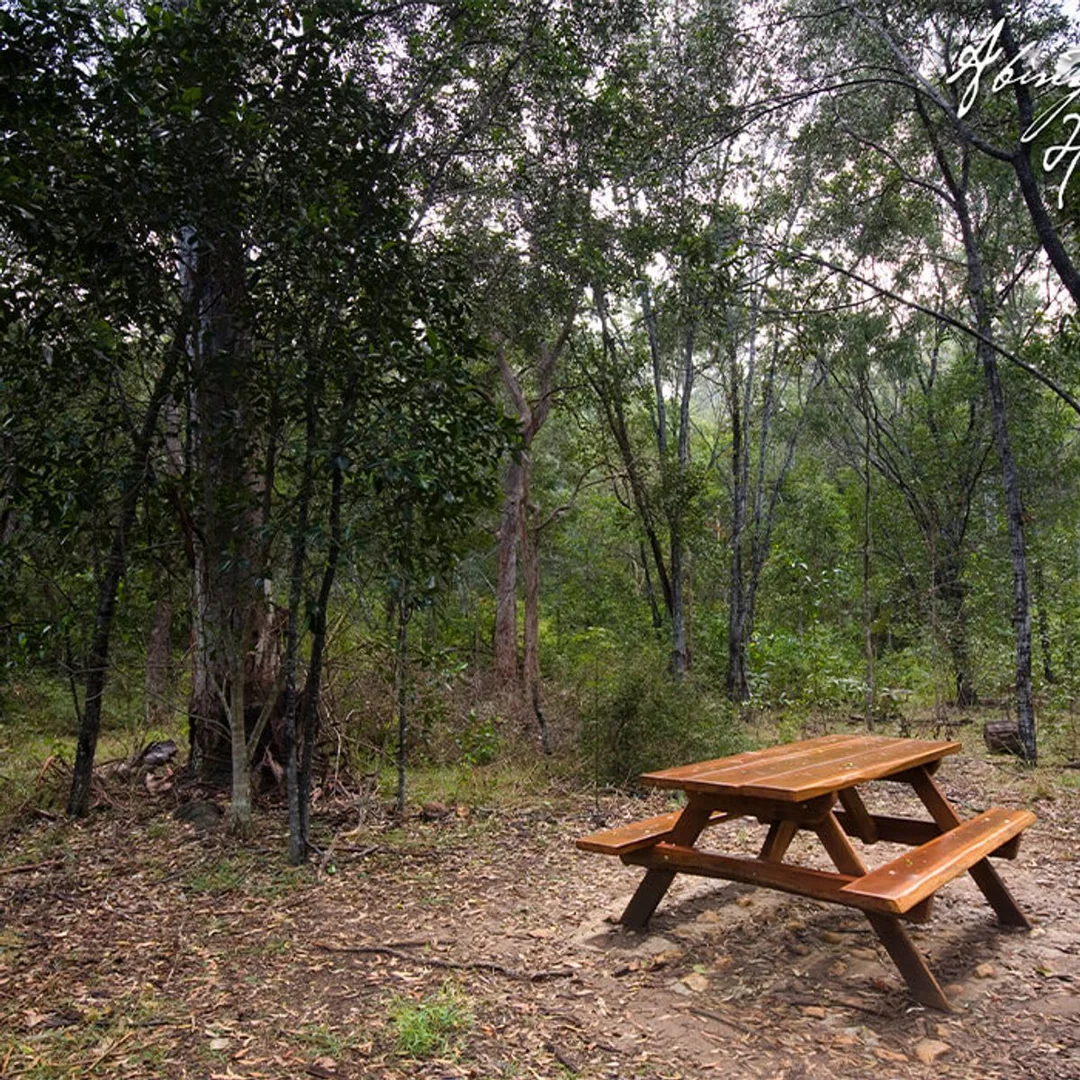 Additional image 6 of STAGE 8 ABINGTON HEIGHTS ESTATE, North Isis QLD 4660