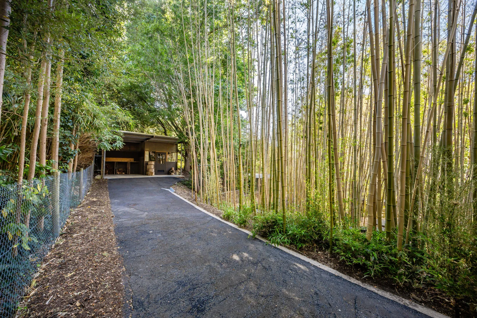 Additional image 58 of 15 Longwood Road, Stirling SA 5152