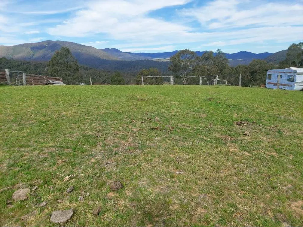 Additional image 13 of 317 Ambyne Road, Deddick Valley VIC 3888