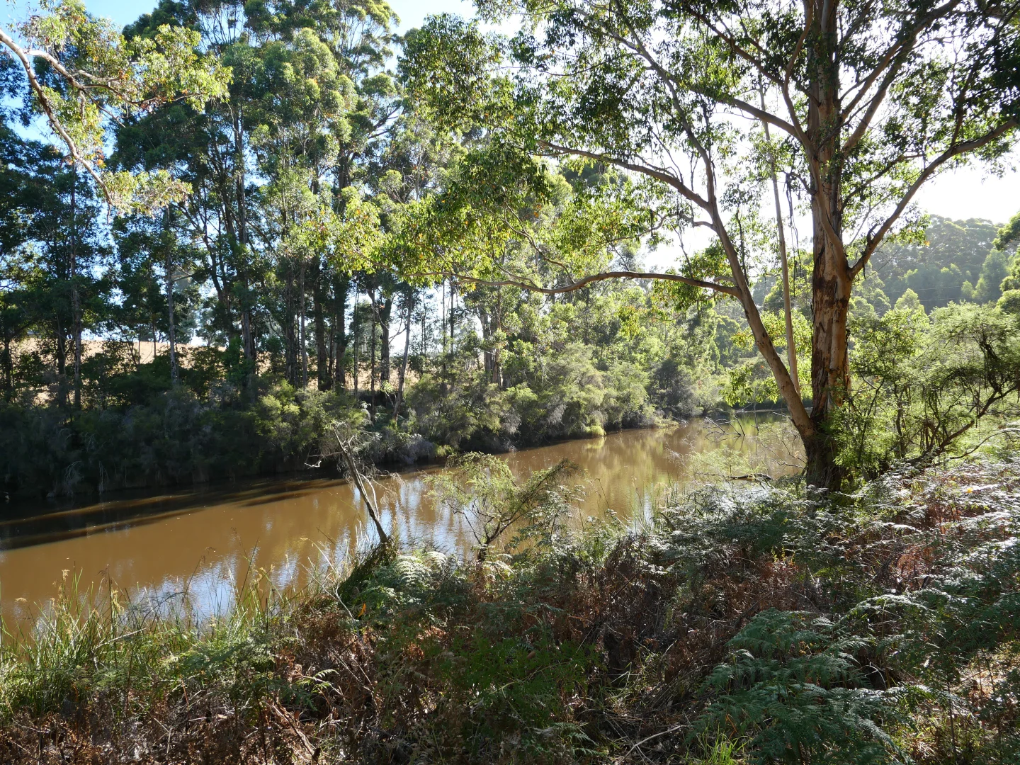 Additional image 6 of 61 Hayes Road, East Nannup WA 6275