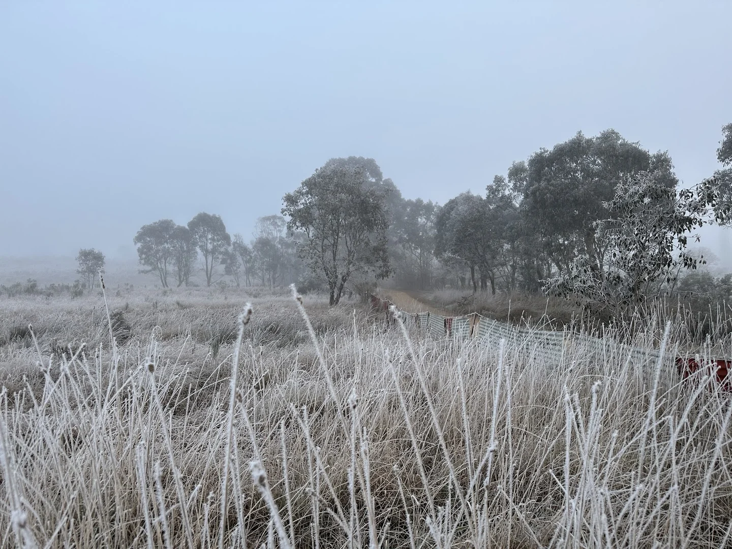 Additional image 49 of 2102 Kiowarrah Road, Bevendale NSW 2581