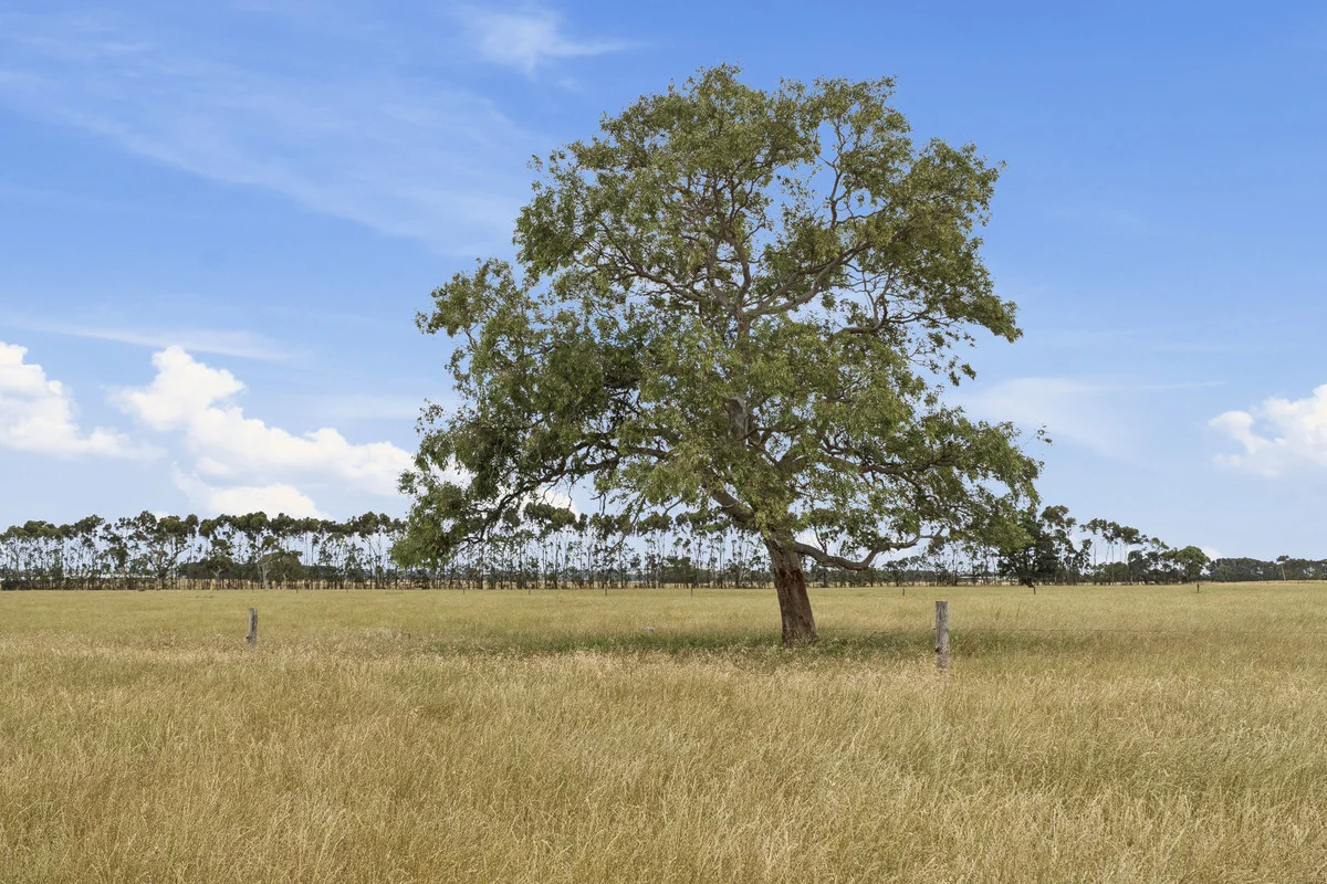Additional image 4 of Castle Carey Road, Glenormiston North VIC 3265