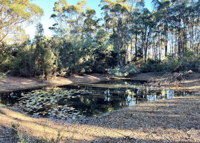 Additional image 22 of 2204 East Tamar Highway, Mount Direction TAS 7252