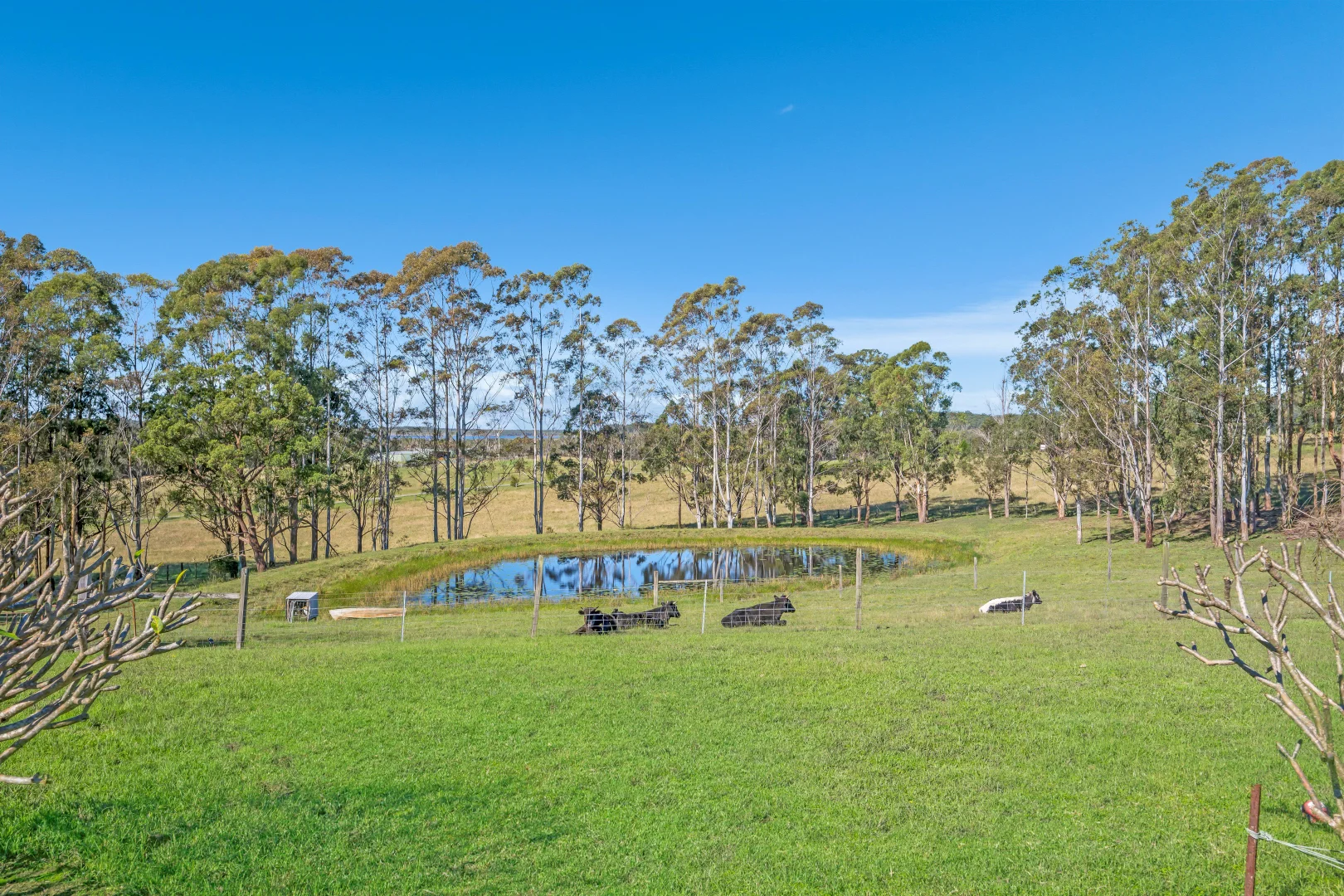 Additional image 49 of 132 Apanie Road, Lake Innes NSW 2446