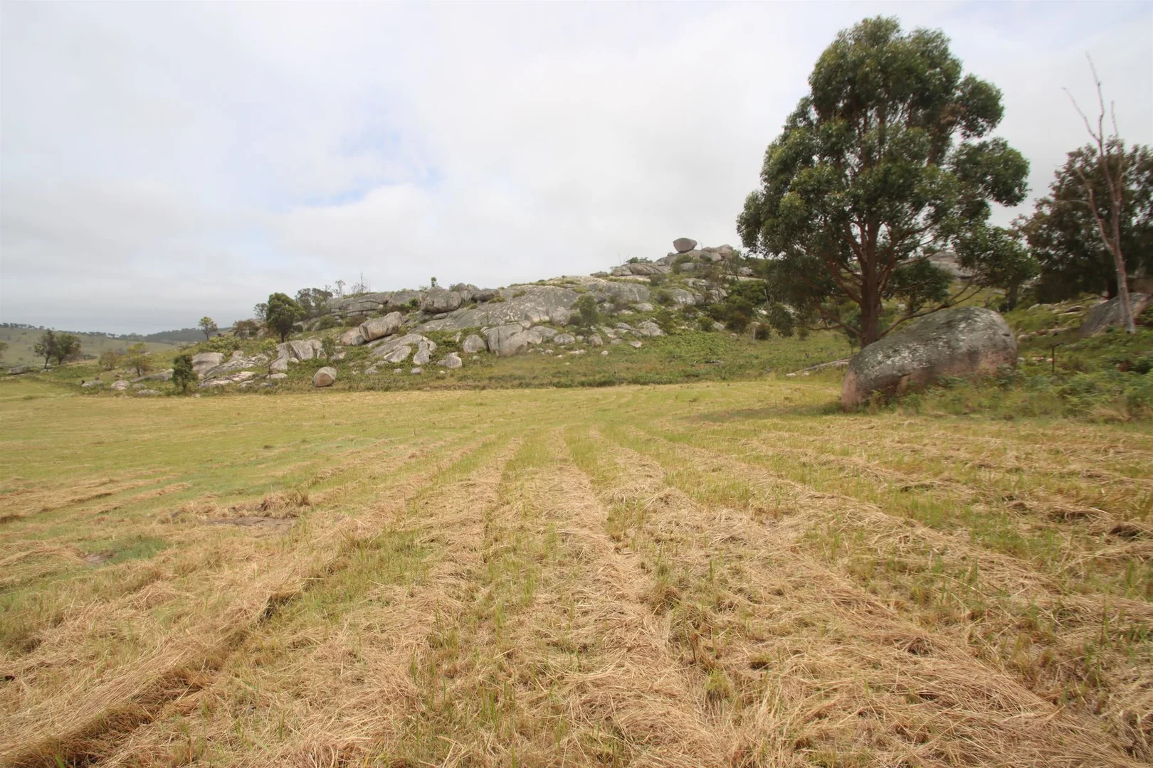 Additional image 4 of Lot 21 Kildare Road, Tenterfield NSW 2372
