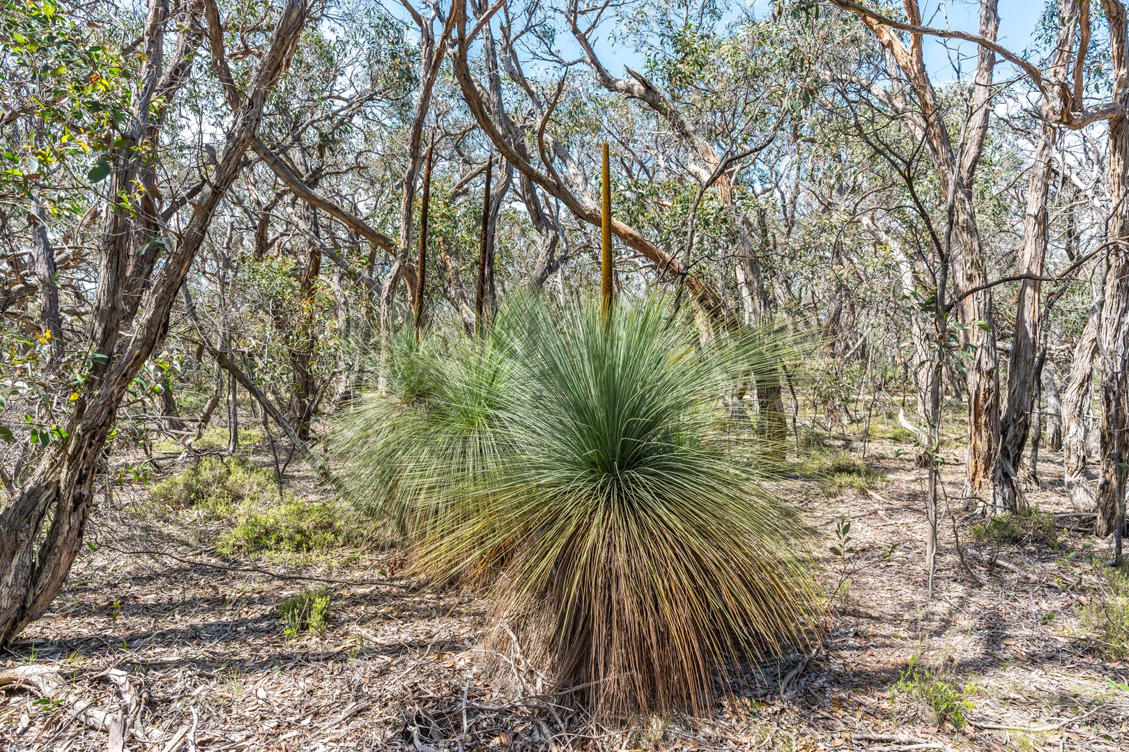Additional image 23 of 130 Jarosite Road, Bells Beach VIC 3228