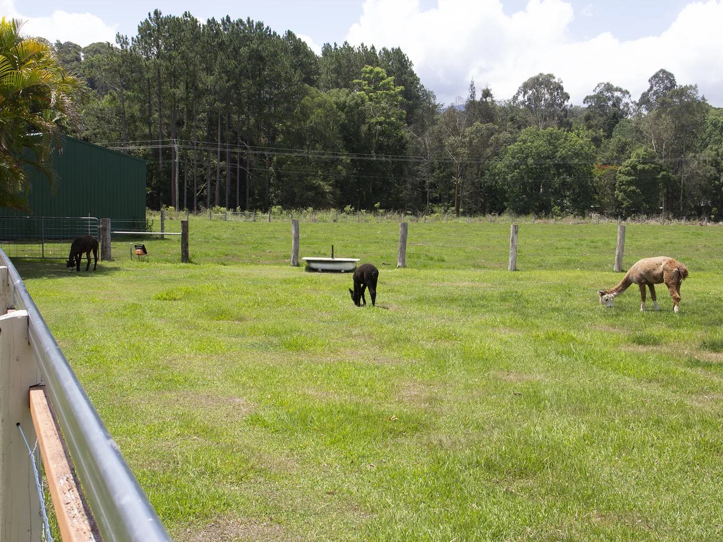 Additional image 14 of 400 Chilcotts Road, Chillingham NSW 2484