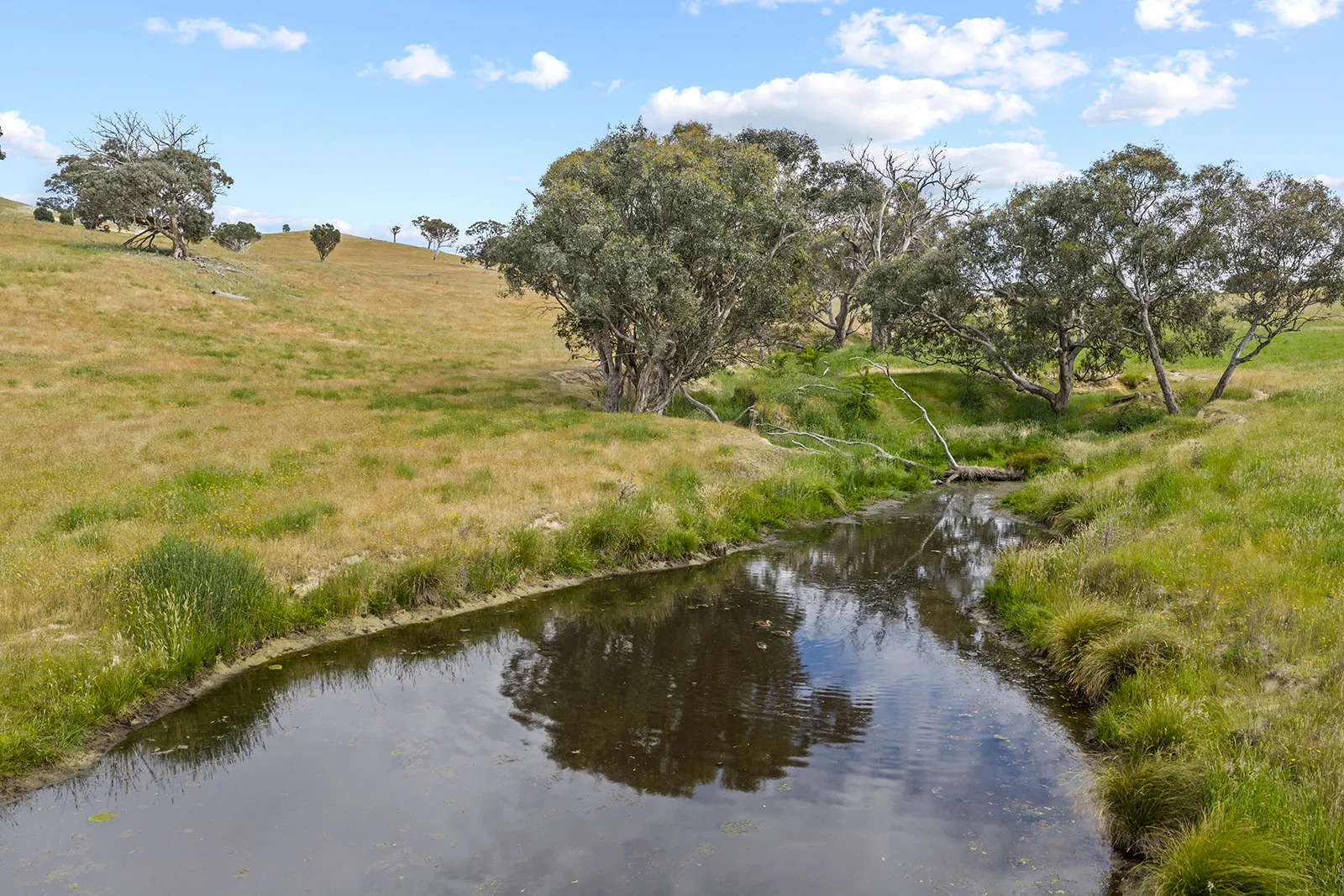 Additional image 21 of 193 Lucernvale Road, Yass NSW 2582