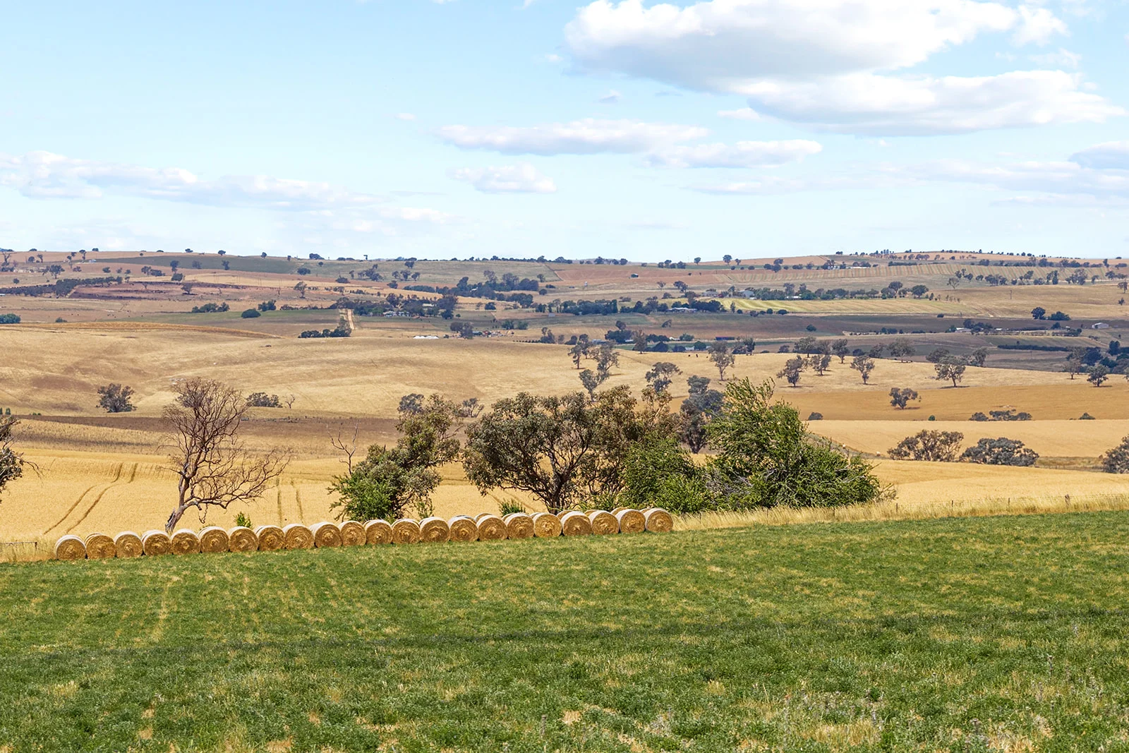 Additional image 3 of 215 Holman Road, Murrumburrah NSW 2587