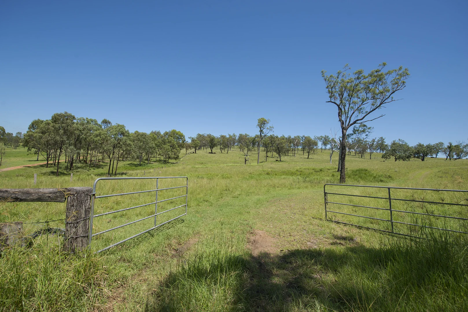 Additional image 5 of Corner Tralee & Waines Road, Mount Walker West QLD 4340
