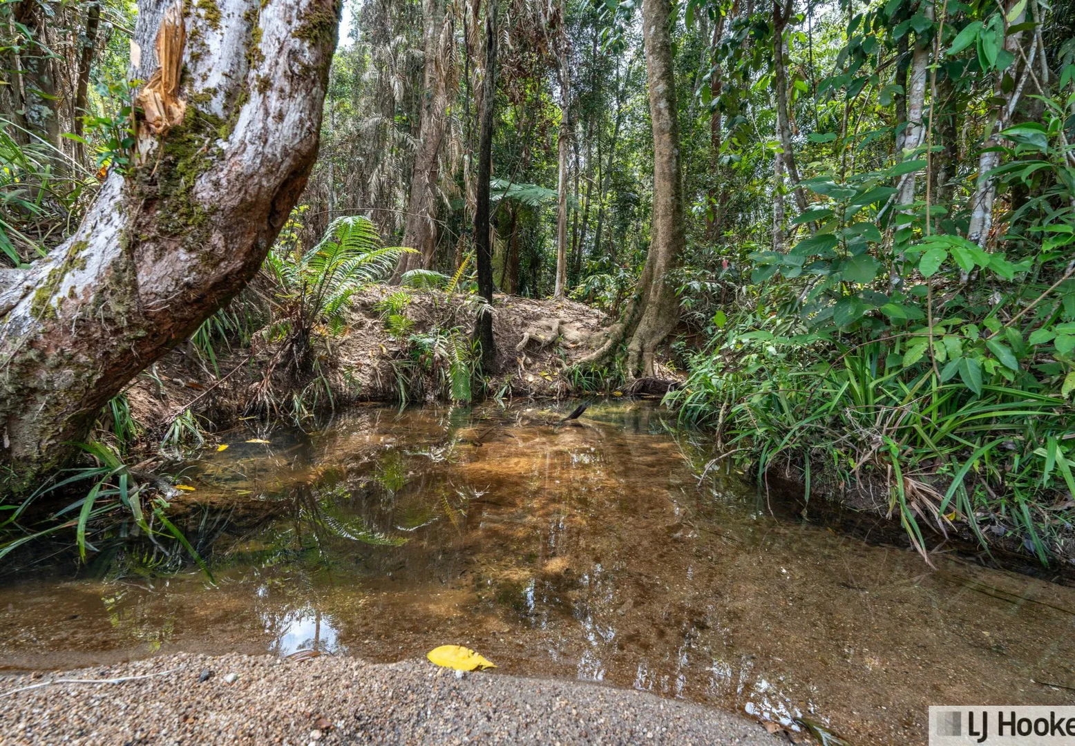 Additional image 25 of 1/214 Tully Gorge Road, Tully QLD 4854
