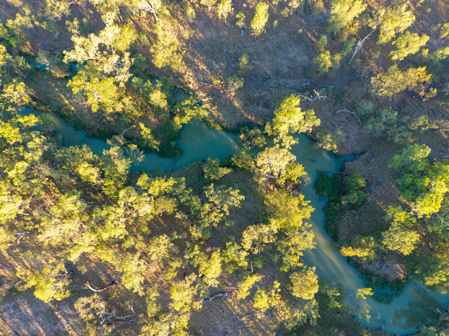 Additional image 4 of Lot 3, 1423 Selma Road, Emerald QLD 4720