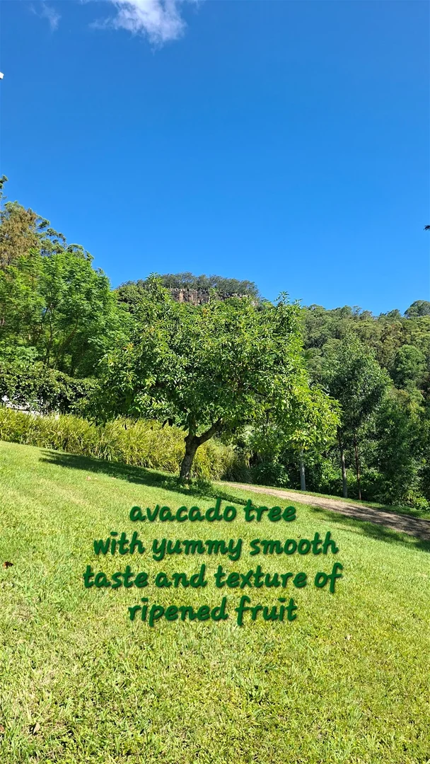 Additional image 26 of 32/265 Martin Road, Larnook NSW 2480