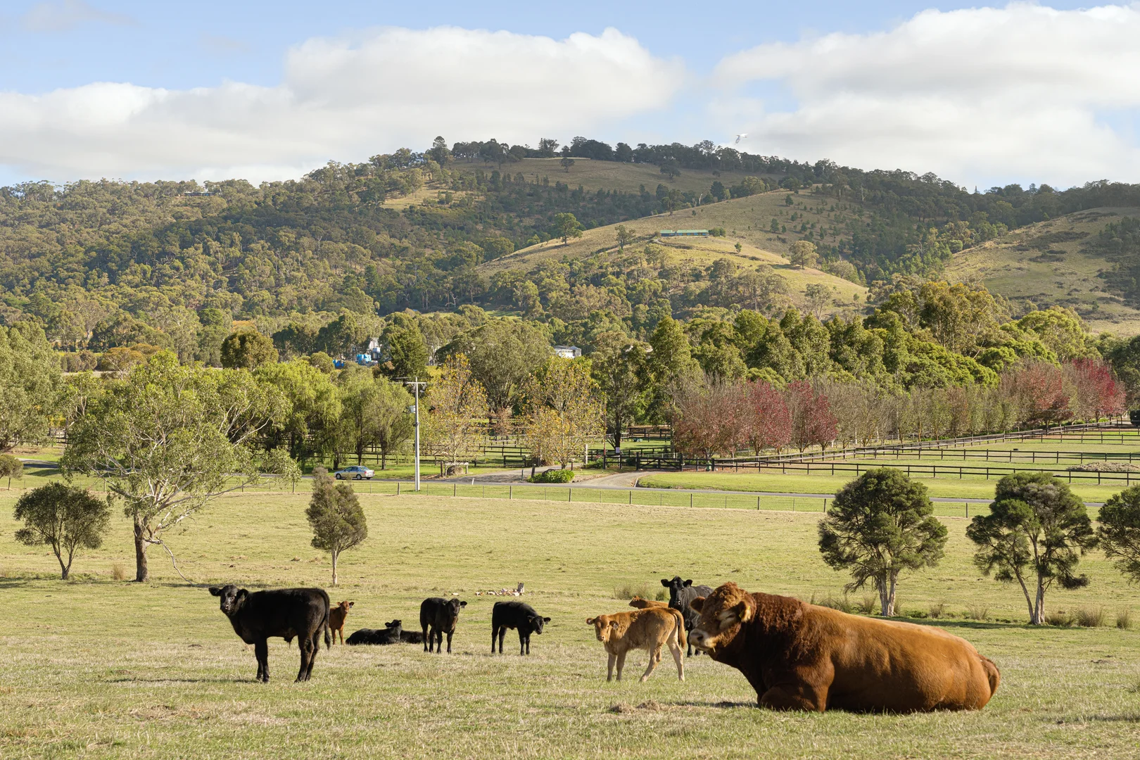 Additional image 10 of 177 Yarraview Road, Yarra Glen VIC 3775