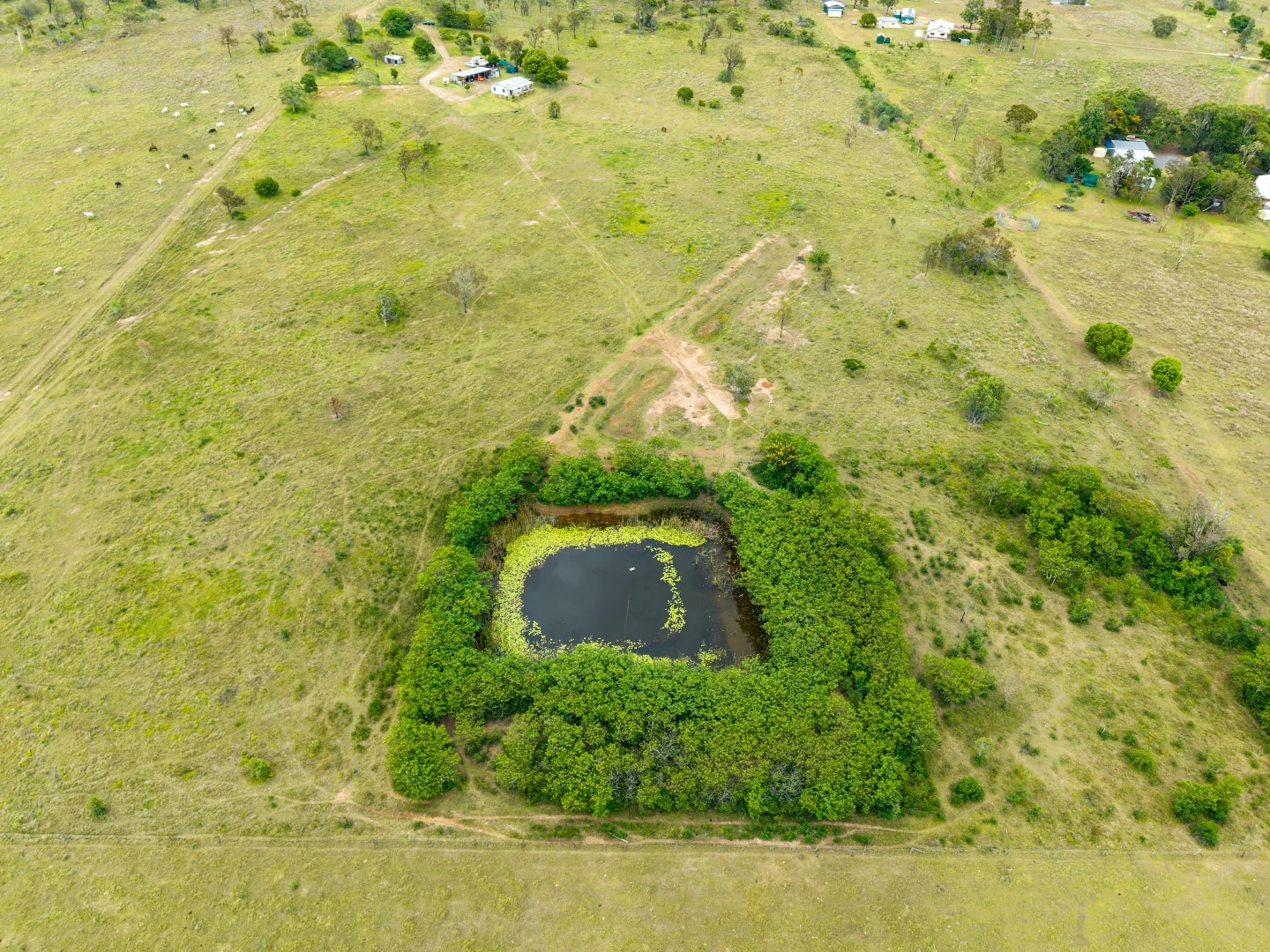 Additional image 16 of 71 Gum Tree Creek Road, Alton Downs QLD 4702