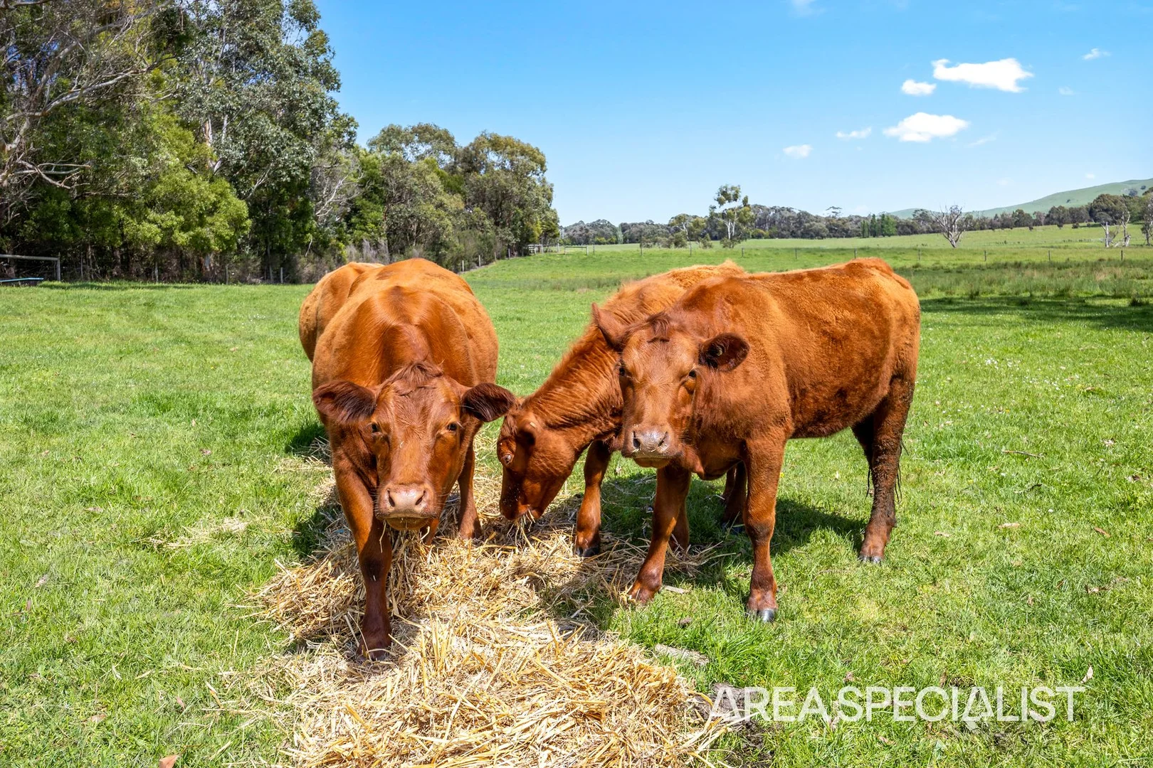 Additional image 24 of 45 Ryeburn Road, Outtrim VIC 3951