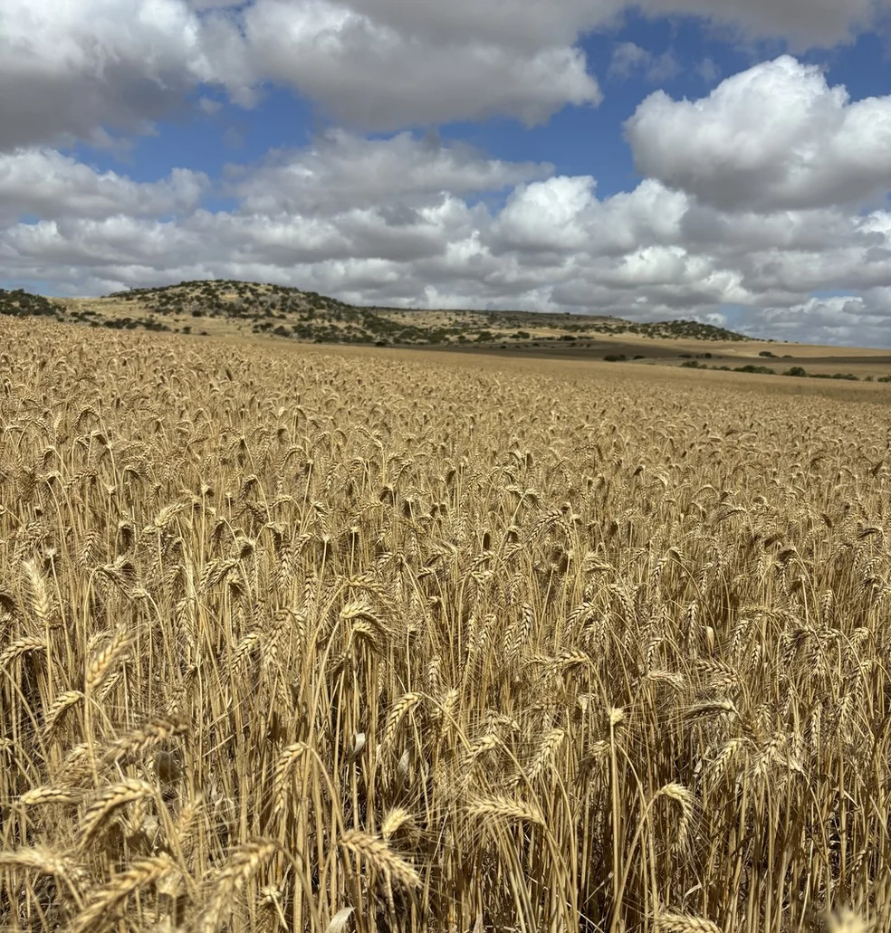 Additional image 2 of Lot 65 Forrester Road, Mount Erin WA 6532