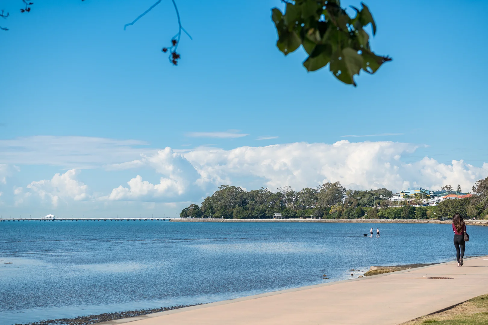 Additional image 44 of 48 Flinders Parade, Sandgate QLD 4017