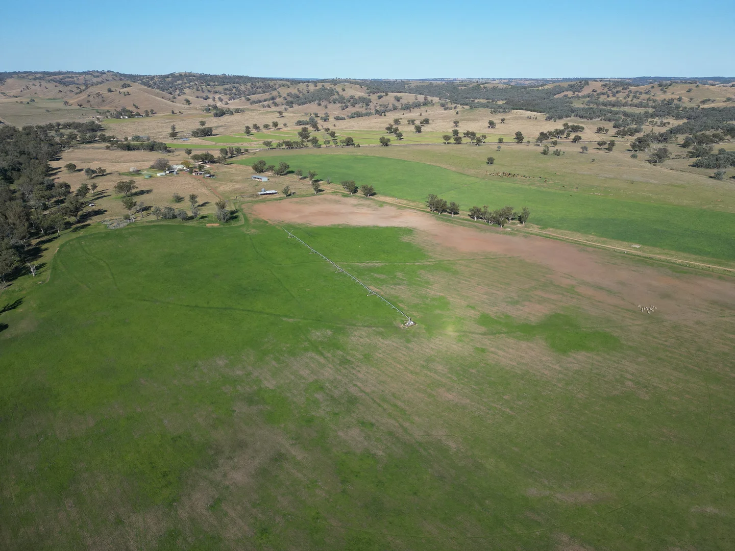 Additional image 24 of 1198 Bukkulla Road, Ashford NSW 2361