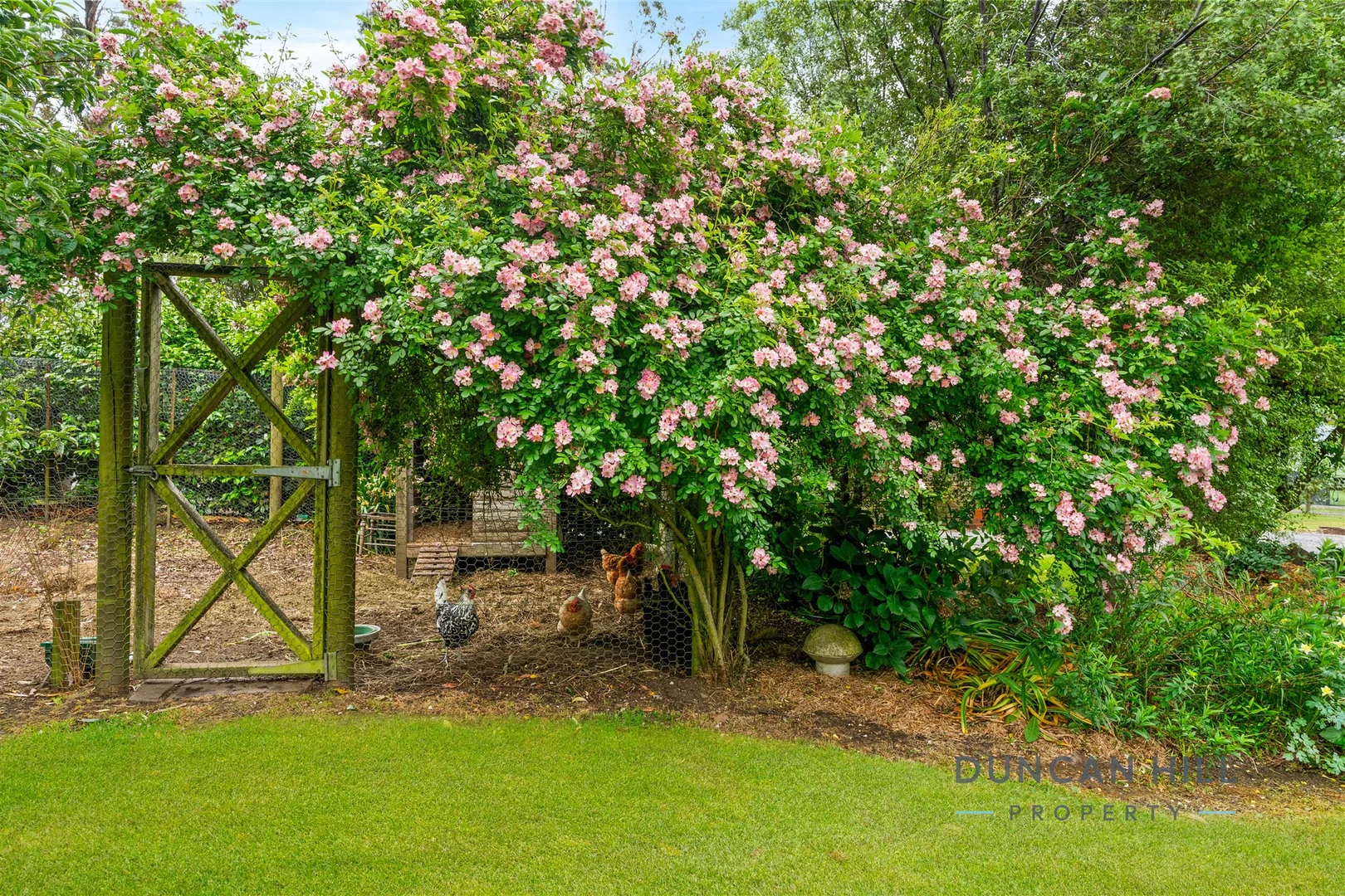 Additional image 19 of 4 Drapers Road, Willow Vale NSW 2575