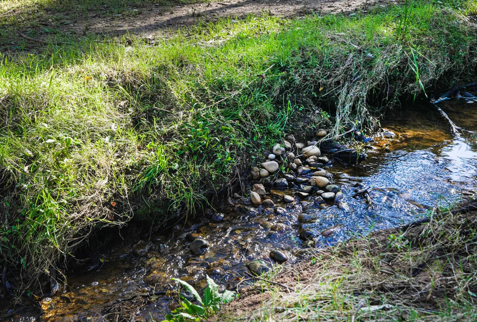 Additional image 24 of 36 Old Pitt Town Road, Pitt Town NSW 2756