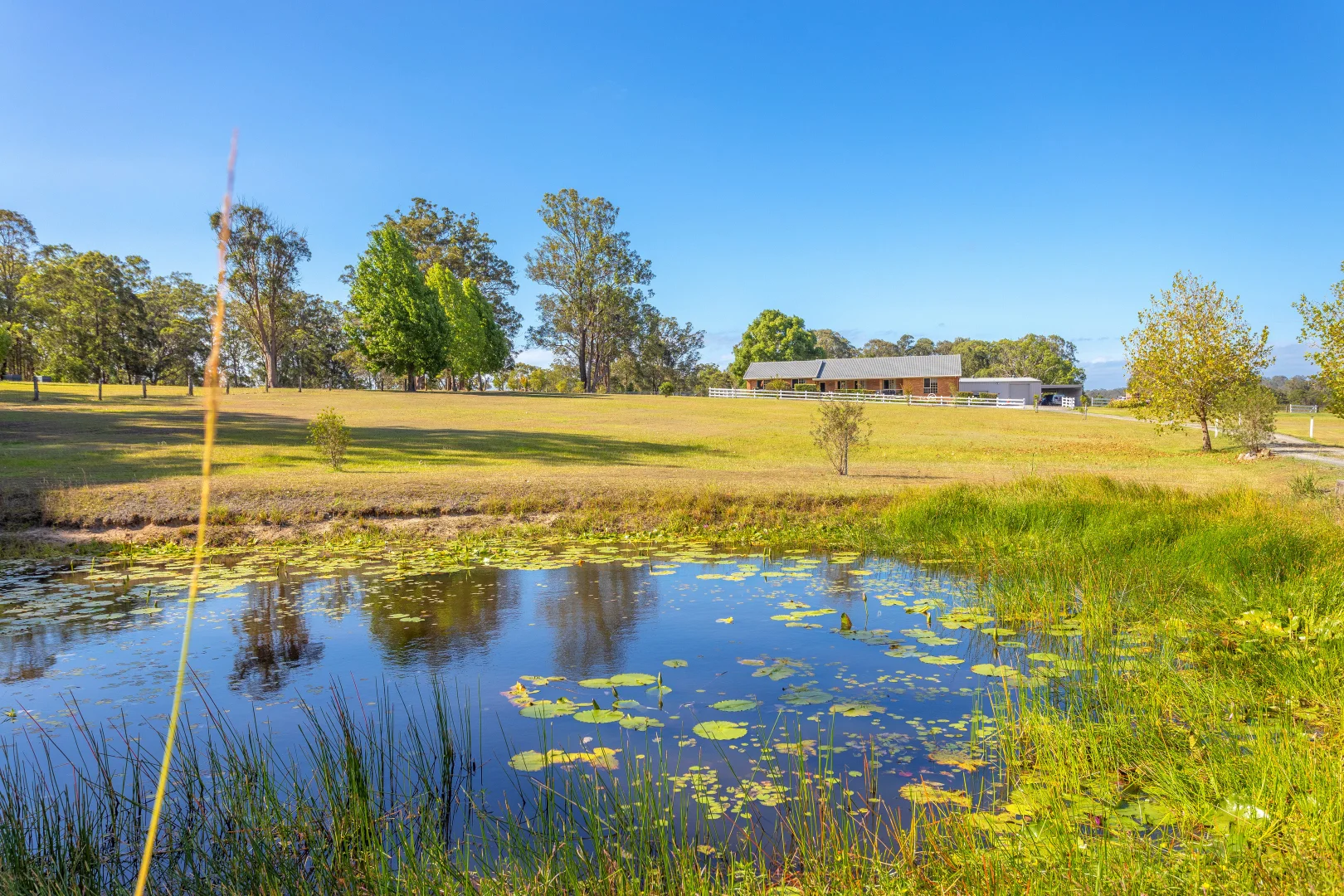 Additional image 19 of 216 Cedar Party Road, Taree NSW 2430