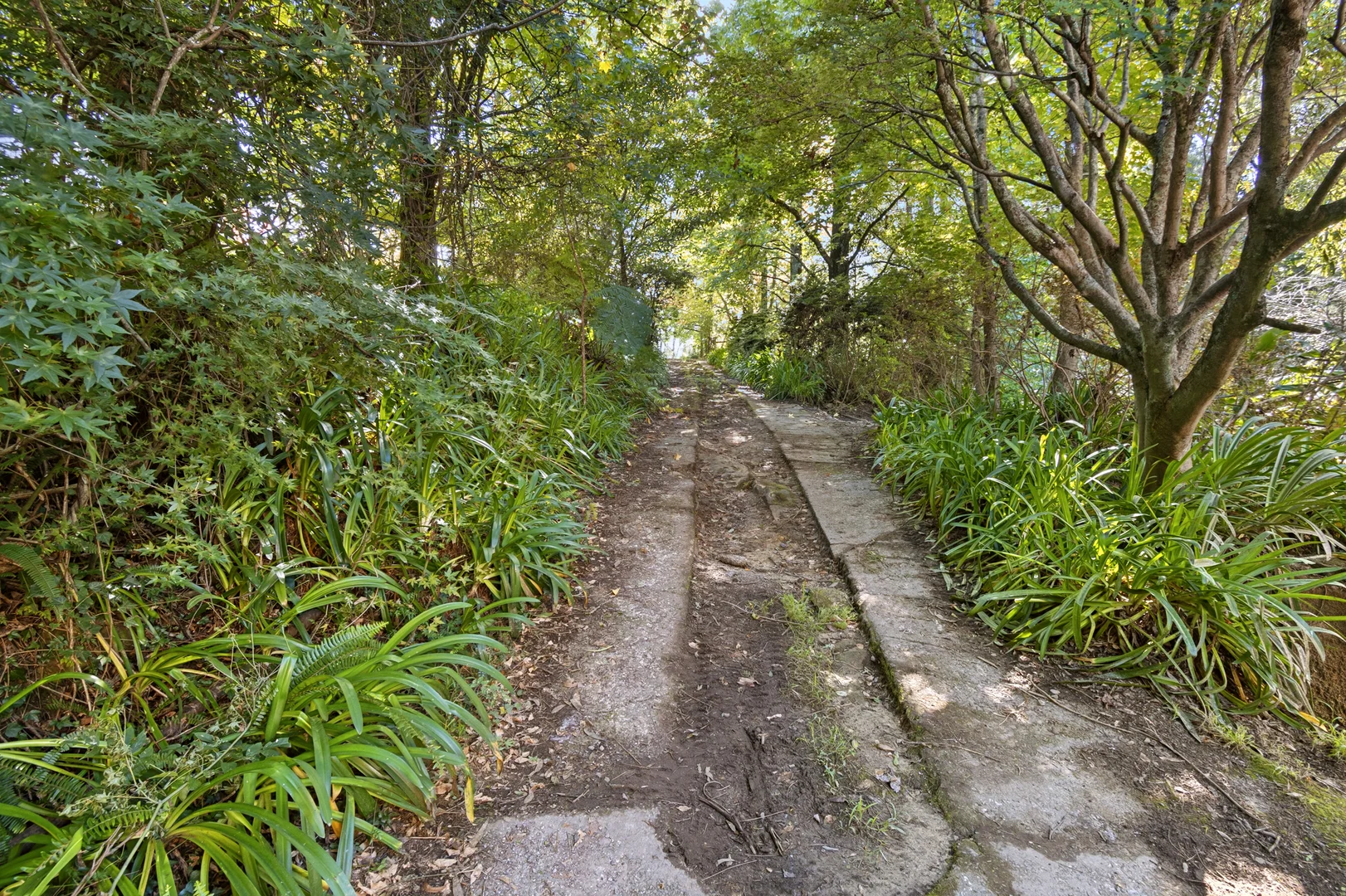 Additional image 4 of 174 Mountain Lagoon Road, Bilpin NSW 2758