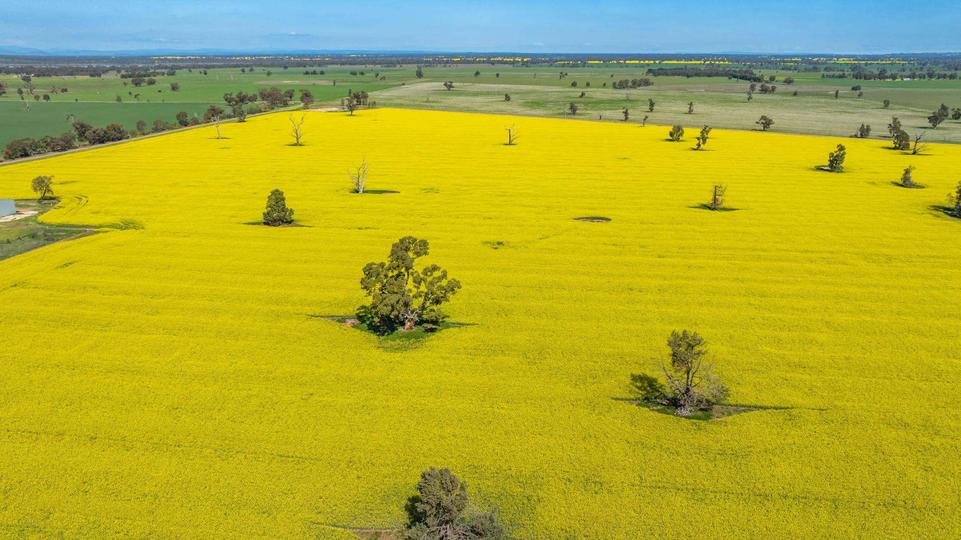 Additional image 22 of BOOROOL Mossdale Road, Balldale NSW 2646