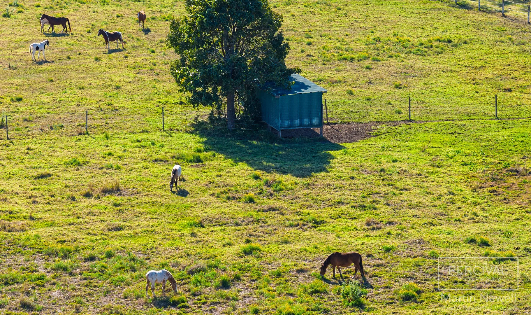 Additional image 10 of Lot 1 Araluen Street, Kendall NSW 2439