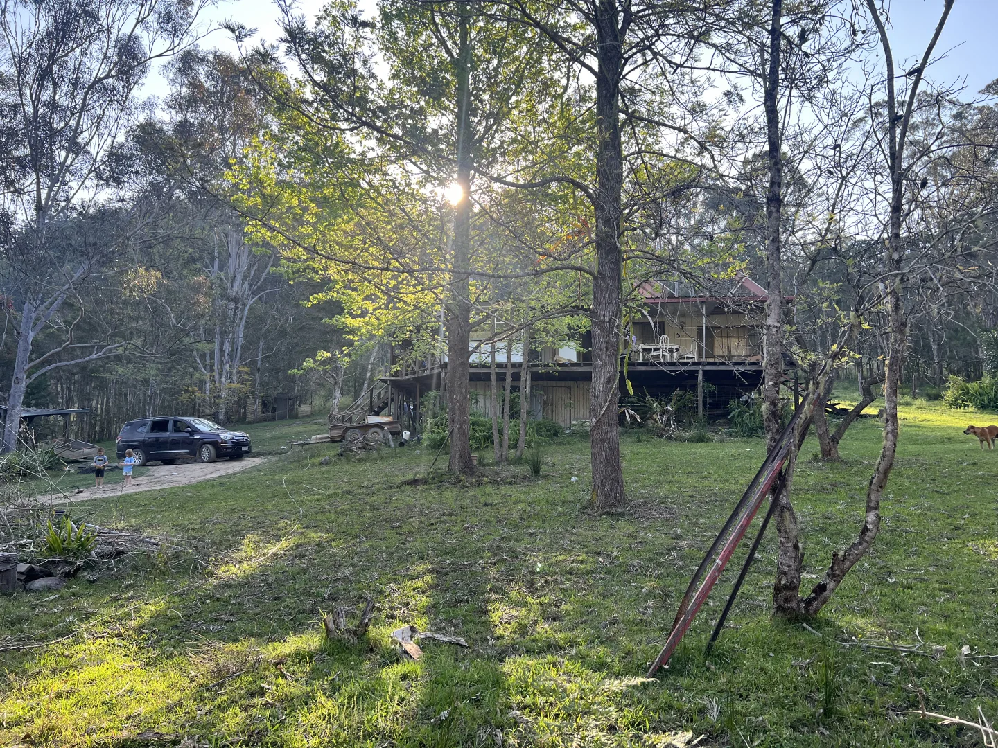 Additional image 22 of 179 Petroi Road, Lower Creek NSW 2440