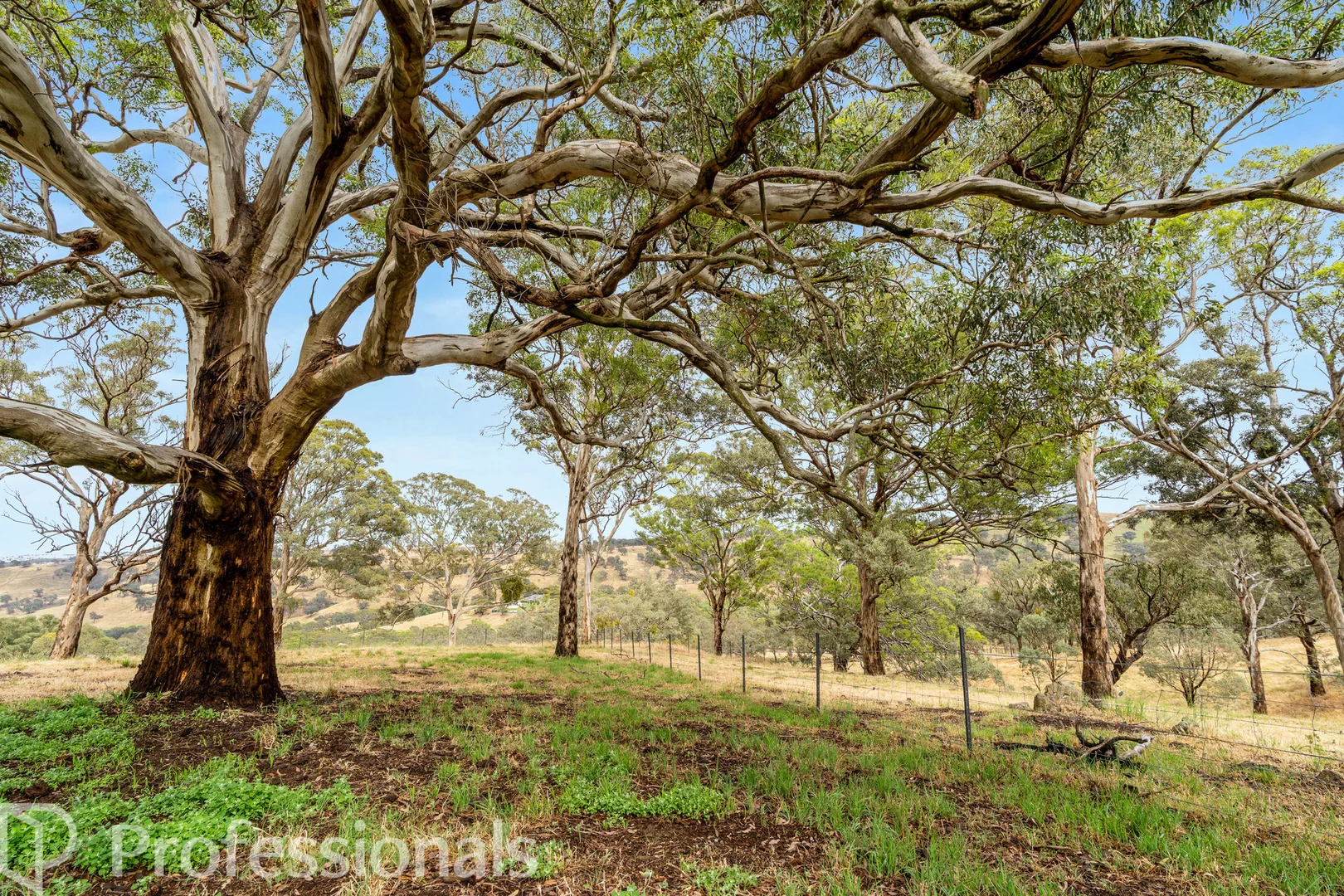 Additional image 19 of 363 Dicksons Lane, Orange NSW 2800