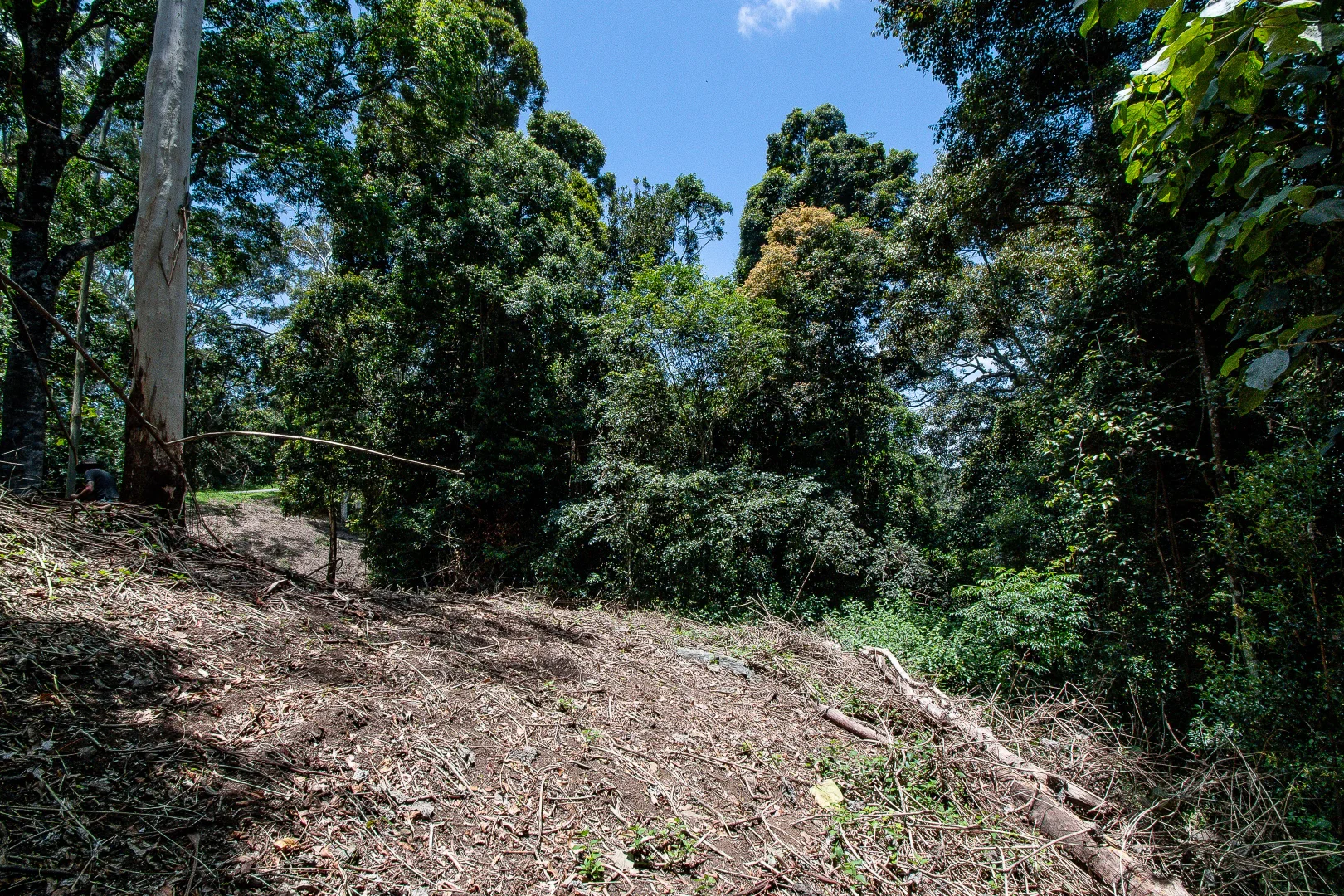 Additional image 6 of 156 Freds Road, Mount Pleasant QLD 4521