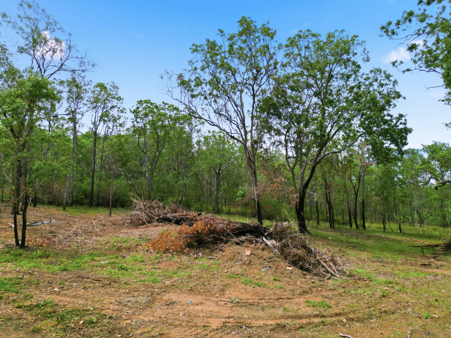 Additional image 14 of 1138 Old Lawrence Road, Deep Creek NSW 2469