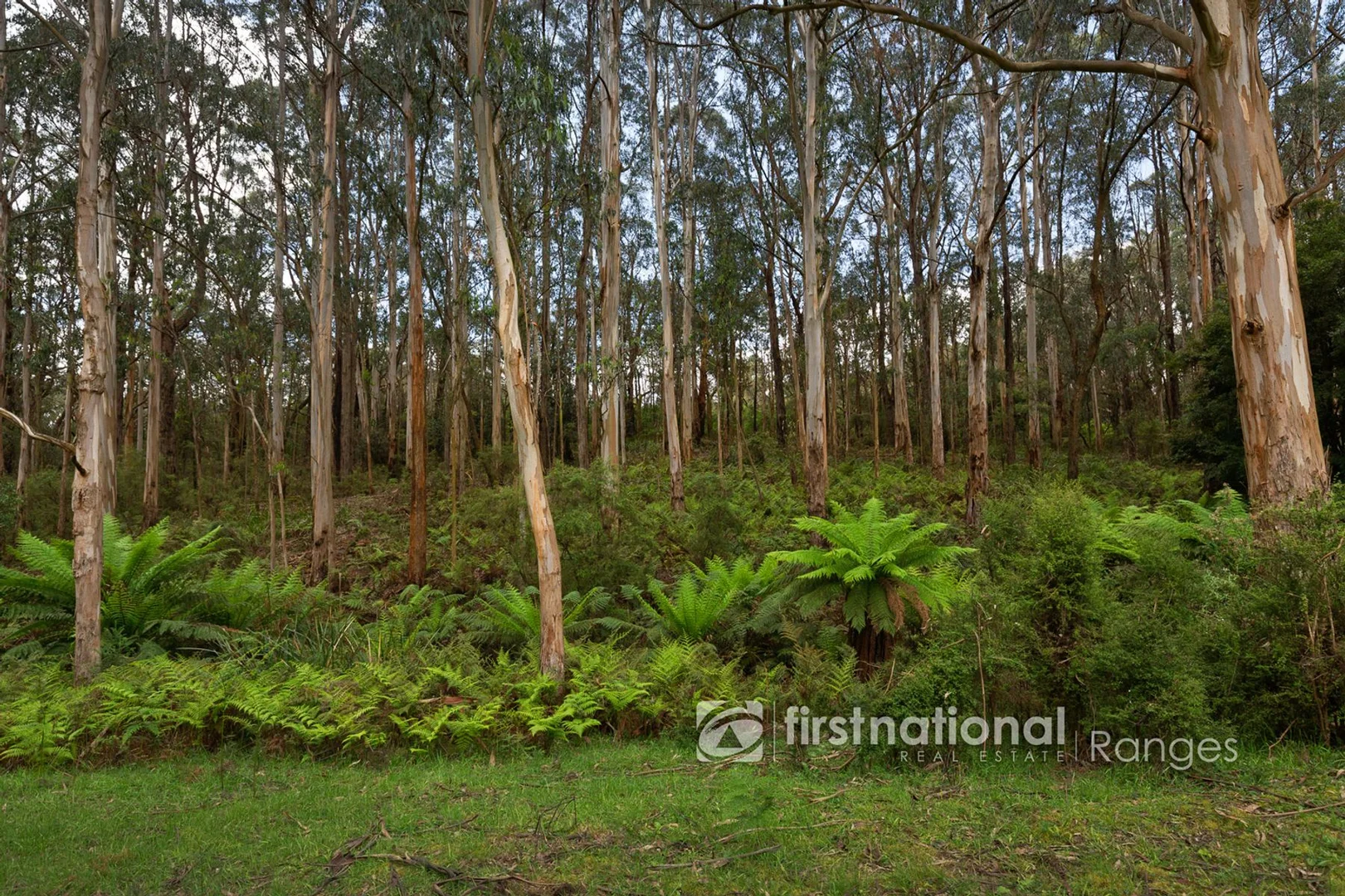 Additional image 5 of 171 Stewart Road, Emerald VIC 3782