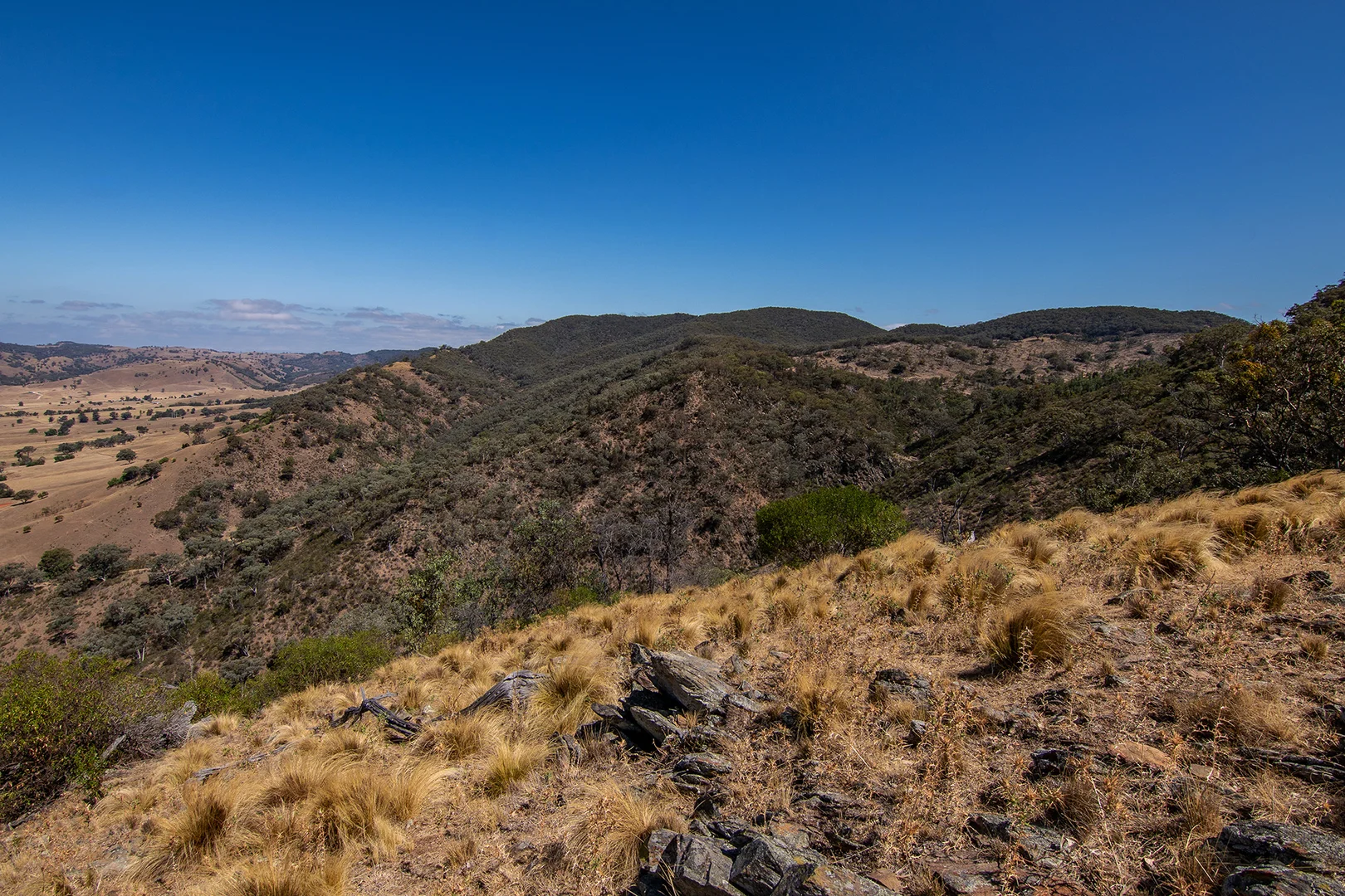 Additional image 14 of 856 Spring Flat Road, Spring Flat NSW 2850
