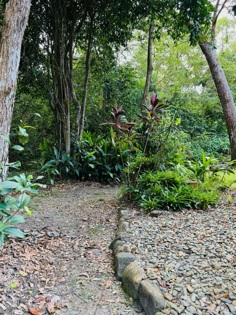 Additional image 28 of 56 Fig Tree Beach Rd, Midgeree Bar QLD 4852